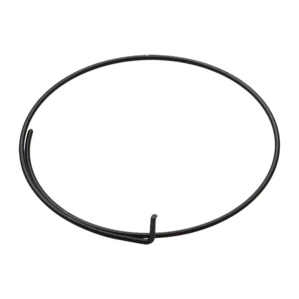 MUELLE PARA NUCLEO CAPANOLO